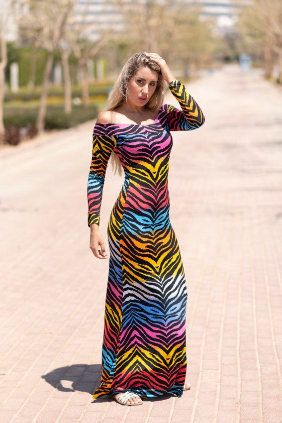 Multi Color Zebra Maxi Sleeves Dress - Modest Fashion Women Wear